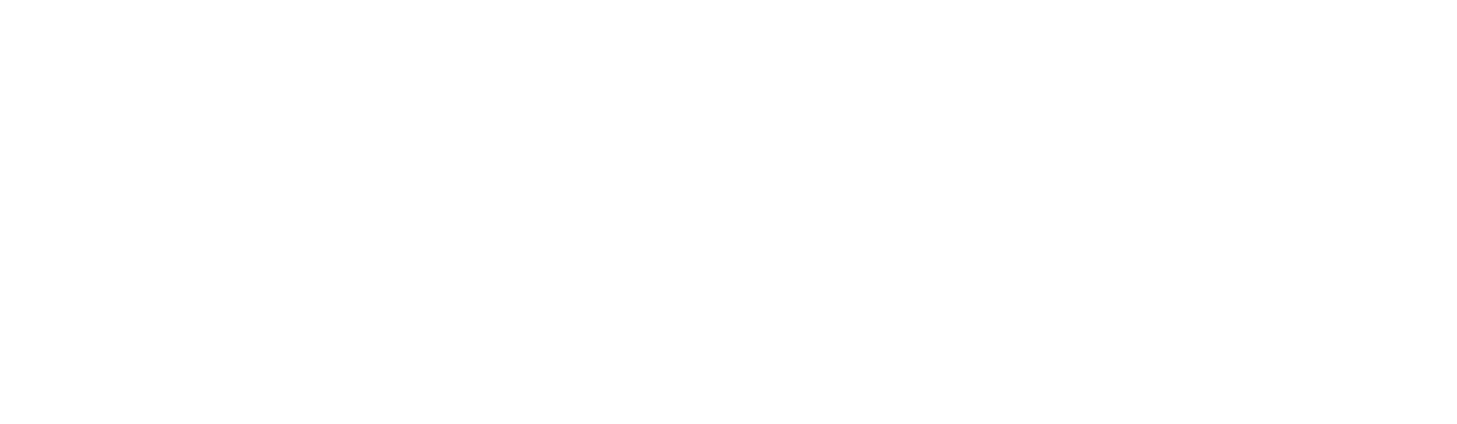 The Neighborhood Hotel Logo